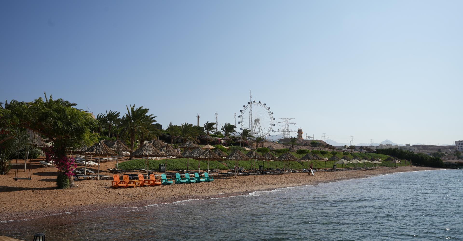 Berenice Beach Club