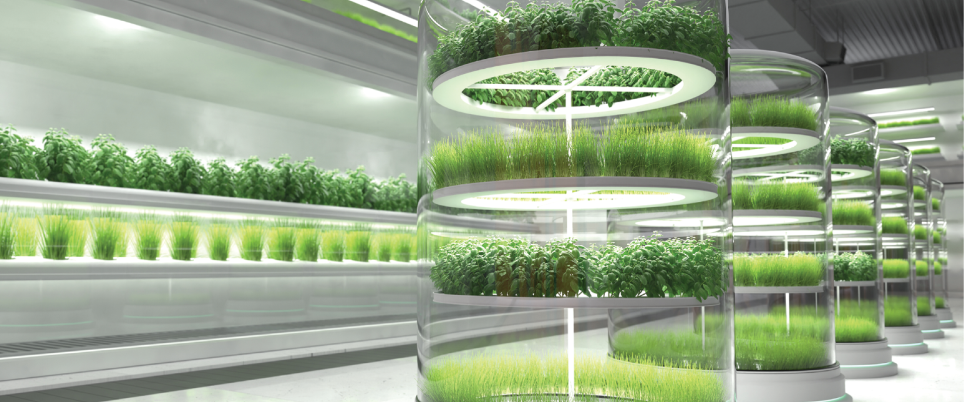 Agri tech