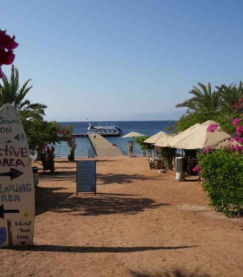 Berenice Beach Club