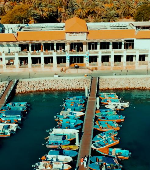 Aqaba Fish Market and Marina 