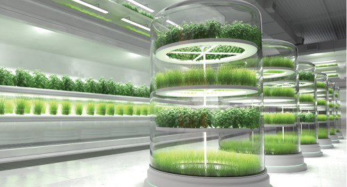 Agri tech