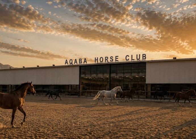 Aqaba Horse Club